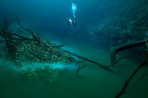 CENOTE ANGELITA (MÉXICO) - Quintana Roo playa del carmen Mexico foto 2