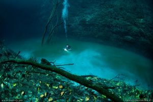 CENOTE ANGELITA (MÉXICO) - Quintana Roo playa del carmen Mexico foto 3