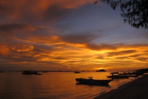 MONAD SHOAL (Isla de Malapascua, Visayas Centrales, Filipinas) -  Daanbantayan Filipinas foto 7