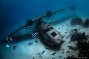 HIDROAVIÓN CATALINA F-OAVV - LAGOON DE RAIATEA – POLINESIA FRANCESA -  Raiatea Polinesia francés foto 2