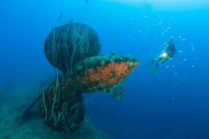 ACORAZADO HIJSM NAGATO – ATOLÓN DE BIKINI – ISLAS MARSHALL -  BIKINI Marshall Islands foto 15