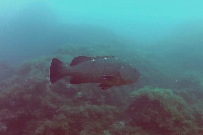 CABO DE PALOS, PILES II - Murcia Cabo de Palos España