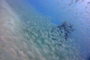 MUSEO ATLANTICO - PLAYA BLANCA -  LANZAROTE - Las Palmas Tías España foto 2