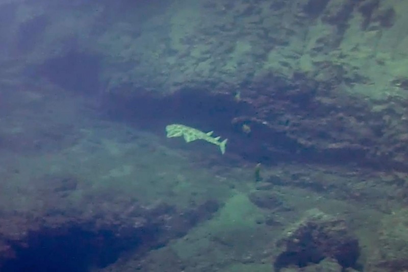 EL MUELLITO Y LA PLAYA - PUERTO DEL CARMEN - LANZAROTE - Las Palmas Tías España