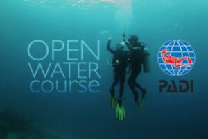 Curso de Open Water Diver en JAVEA