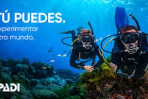 Curso de Open Water Diver en JAVEA Foto 1