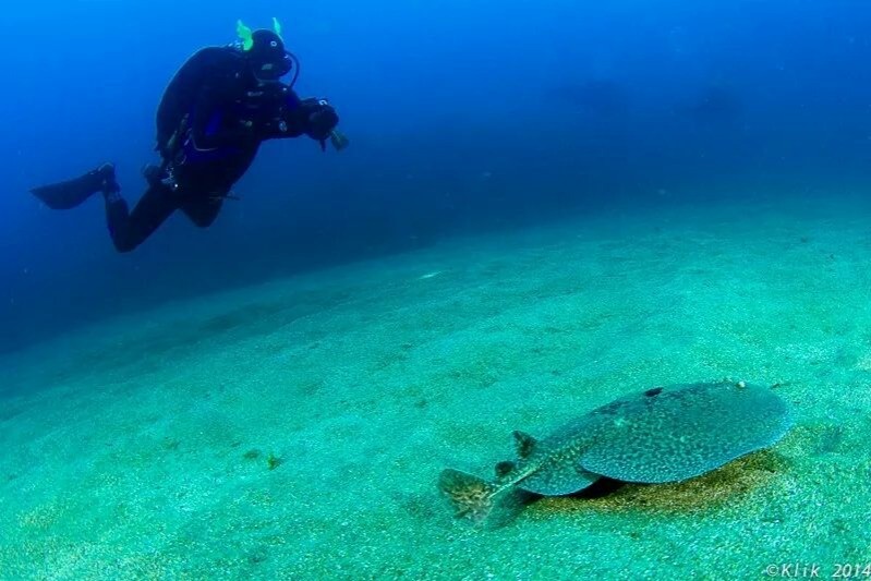 AZPIROZ - MUTRIKU - GIPUZKOA