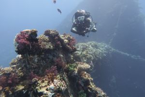 GIANIS D EGIPTO -  Hurghada Egypt foto 1
