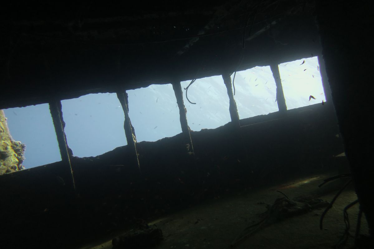 GIANIS D EGIPTO -  Hurghada Egypt