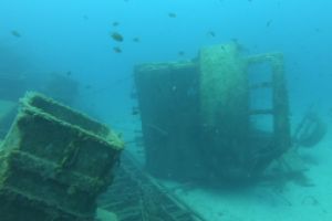 PECIOS DEL BARRANCO DEL QUIQUERE - Las Palmas Tías Spain foto 9