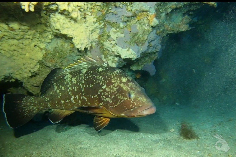 AGUJERO AZUL - Las Palmas Tías España