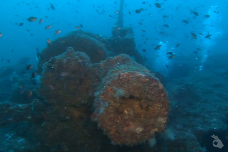 CABO DE PALOS, EL NARANJITO - Murcia Cabo de Palos España