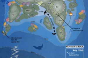 RICHELIEU ROCK (PARQUE NACIONAL DE KOH SURIN, ISLAS SIMILAN, MAR DE ANDAMÁN, TAILANDIA) -  Mar andaman Thailand foto 1