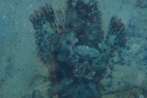 EGIPTO, MAR ROJO, THE BARGE -  Hurgada Marina Egipto foto 7