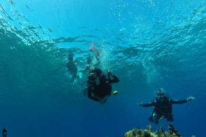 Puerto Escondido | BUCEO EN PUERTO ESCONDIDO, MAYABEQUE, CUBA -  Puerto Escondido Cuba foto 1