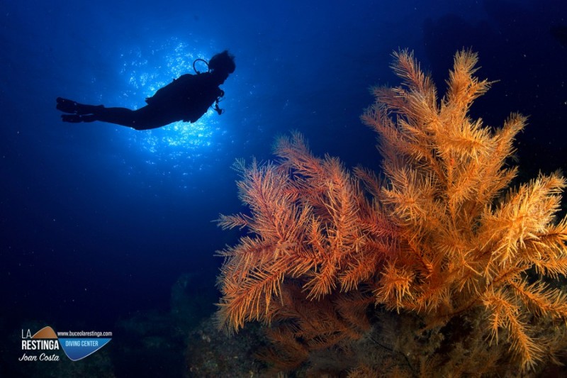 CUEVA DE LA ARENA - LA RESTINGA - EL HIERRO - Santa Cruz de Tenerife La Restinga España