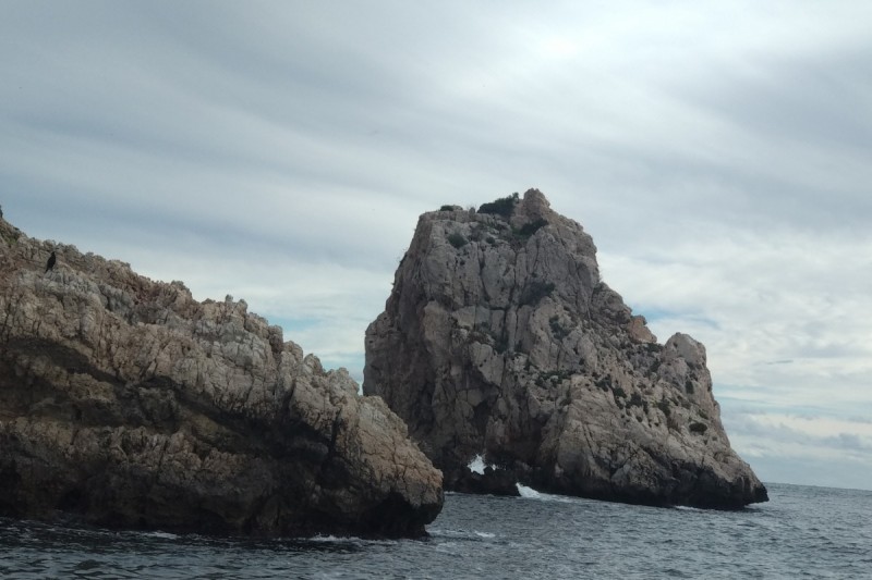 LA MONA DE SAN ANTONIO - Alicante Jávea Spain