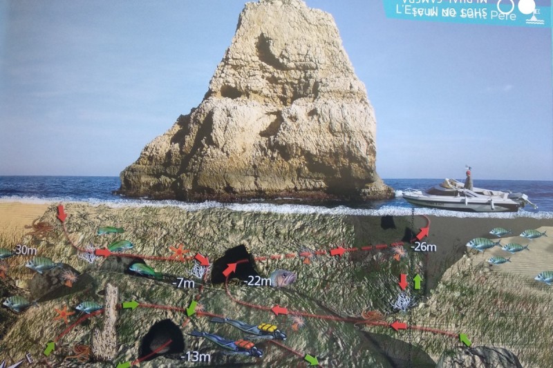 SCULL DEL CABO NEGRO. - Alicante Xàbia Spain