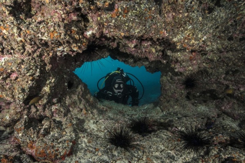 LAS LENGUAS - PLAYA BLANCA - LANZAROTE - Las Palmas Playa Blanca Spain