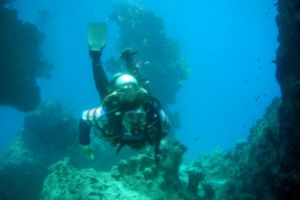 OMKARA REEF   MAR ROJO -  Marsa Alam Egipto