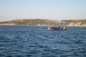 SARDINE RUN EAST LONDON SUDAFRICA -  East London Sudáfrica foto 1