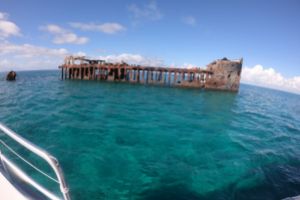 SAPONA WRECK - BIMINI - BAHAMAS -  Alice Town Game Reserve MARINA Bahamas