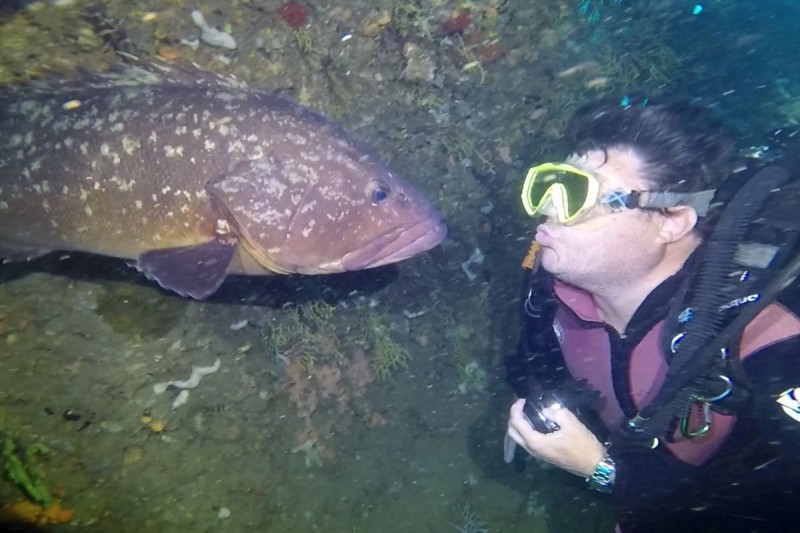 TASCO PETIT ISLAS MEDAS L,ESTARTIT - Girona L'Estartit Spain