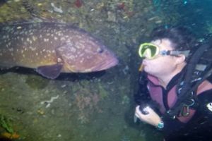 TASCO PETIT ISLAS MEDAS L,ESTARTIT - Girona L'Estartit España