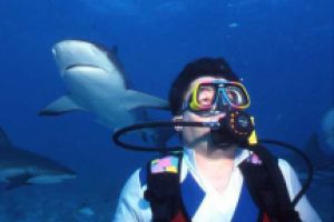SHARK FEEDING - NASSAU NEW PROVIDENCE - BAHAMAS -  NASSAU   STUART COVE Bahamas foto 4