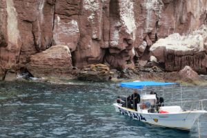 LA LOBERA PICHILINGUE - LA PAZ - MAR DE CORTES - Aguascalientes LA PAZ (Pichilingue) México foto 2
