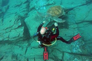 LA PARED DEL PALMAR LOS CRISTIANOS TENERIFE - Santa Cruz de Tenerife Los Cristianos España foto 6