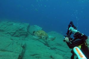 LA PARED DEL PALMAR LOS CRISTIANOS TENERIFE - Santa Cruz de Tenerife Los Cristianos España foto 7