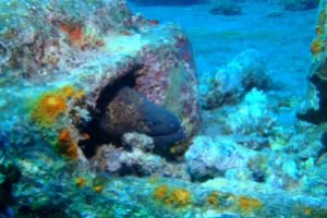 EGIPTO, MAR ROJO, THE SS THISTLEGORM -  Sharm el-Sheij Egypt