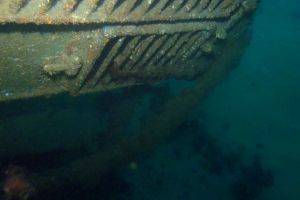 CANTABRICO, CIERVANA, EL DIANA - Bizkaia Ciérvana Spain foto 2