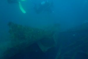 CANTABRICO, CIERVANA, EL DIANA - Bizkaia Ciérvana Spain foto 6