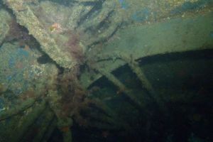 CANTABRICO, CIERVANA, EL DIANA - Bizkaia Ciérvana Spain foto 7