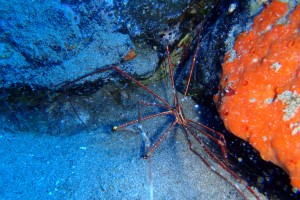 LA CATEDRAL PUERTO DEL CARMEN LANZAROTE - Las Palmas Puerto del Carmen Spain foto 3