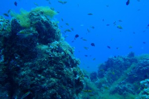 LA CATEDRAL PUERTO DEL CARMEN LANZAROTE - Las Palmas Puerto del Carmen Spain foto 6