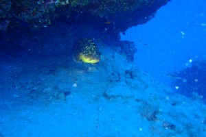 LA CATEDRAL PUERTO DEL CARMEN LANZAROTE - Las Palmas Puerto del Carmen Spain foto 8
