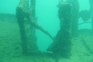 LANZAROTE - ARRECIFE - TELAMON - Las Palmas Arrecife Spain foto 4