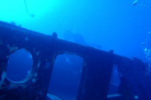 EGIPTO, MAR ROJO, FRASER -  sharm el-Sheij Egypt