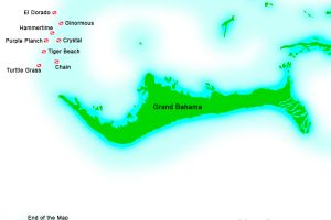Mapa de la zona de operación | TIGER BEACH - GRAND BAHAMA - BAHAMAS -  Freeport Bahamas foto 13