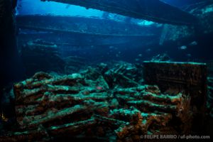 Fusiles | THISTLEGORM - ESTRECHO DE GÜBAL - EGIPTO  -  Hurghada Egypt foto 11