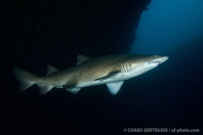 ALIWAL SHOAL - UNKOMAAS - SUDÁFRICA -  Unkomaas South Africa