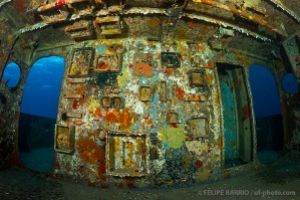 USS KITTIWAKE - GRAND CAYMAN - ISLAS CAYMAN -  Sunset House Cayman Islands foto 10