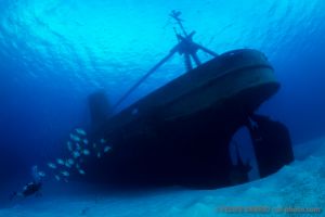 Carángidos junto a la popa | USS KITTIWAKE - GRAND CAYMAN - ISLAS CAYMAN -  Sunset House Cayman Islands foto 11