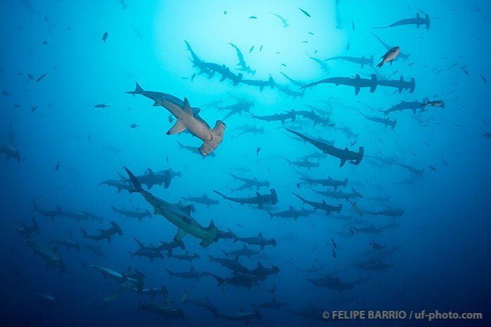 LA FERRETERIA - ISLA DE MALPELO - COLOMBIA -  Puereto Mutis Colombia
