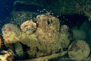 Camión | SAN FRANCISCO MARU - TRUK - MICRONESIA -  Neiwe Micronesia foto 1