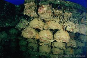 Minas | SAN FRANCISCO MARU - TRUK - MICRONESIA -  Neiwe Micronesia foto 3