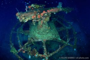 Cañón | SAN FRANCISCO MARU - TRUK - MICRONESIA -  Neiwe Micronesia foto 4